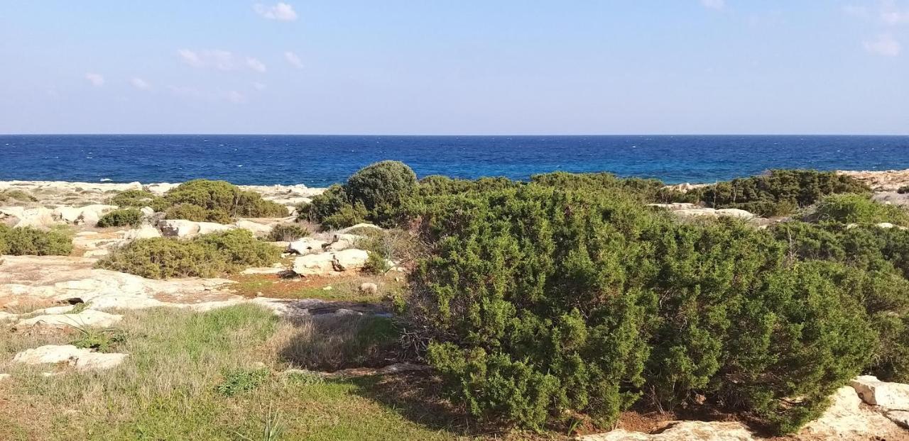 Mosaic Villa By The Sea Протарас Екстериор снимка