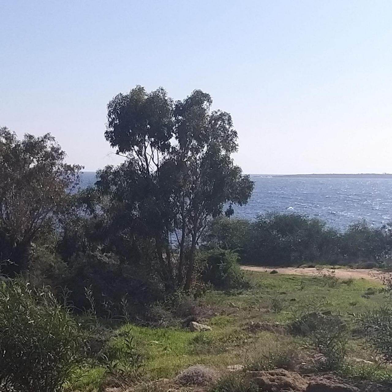 Mosaic Villa By The Sea Протарас Екстериор снимка